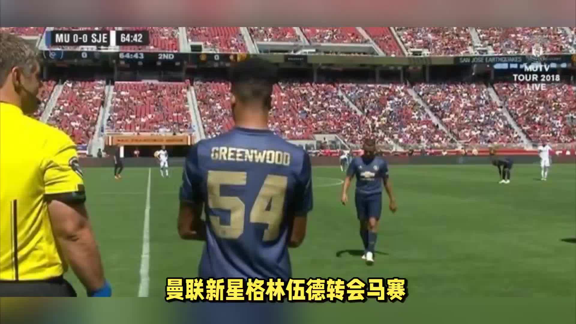 天才
